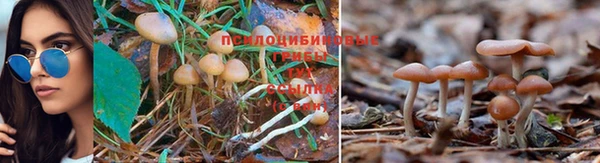 ешки Армянск