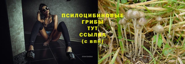 ешки Армянск