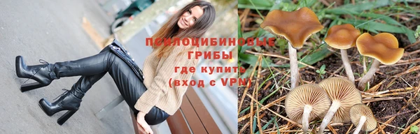 ешки Армянск