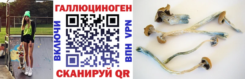 где можно купить наркотик Меленки Псилоцибиновые грибы ЛСД